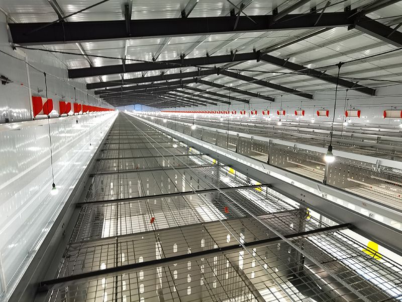 層疊式自動化育雛養(yǎng)殖設(shè)備