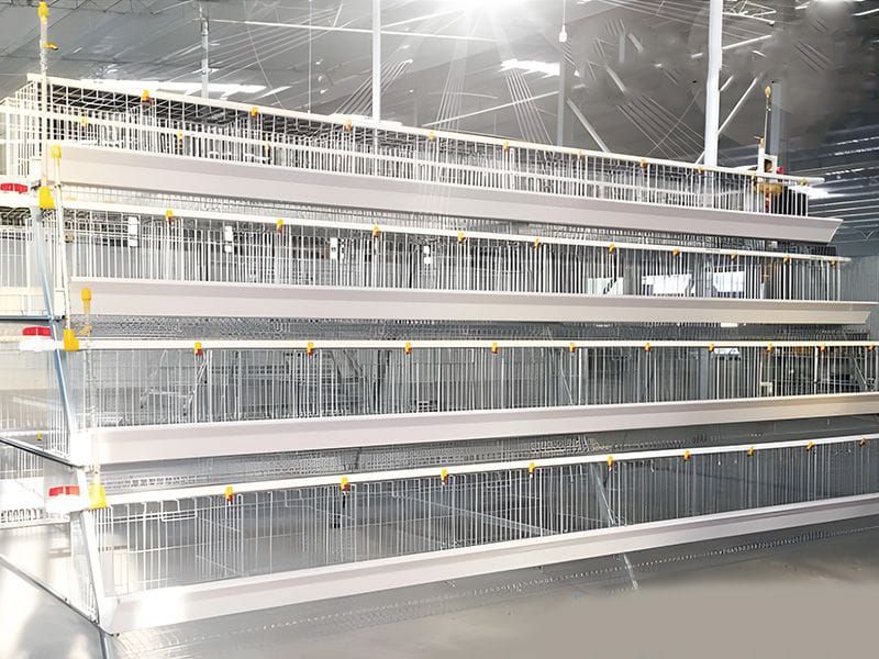 階梯式自動化養(yǎng)殖設備