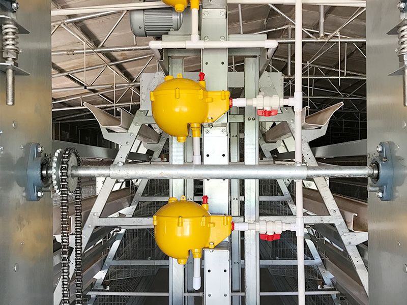 階梯式自動化養(yǎng)殖設備